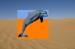 Delfín v poušti...